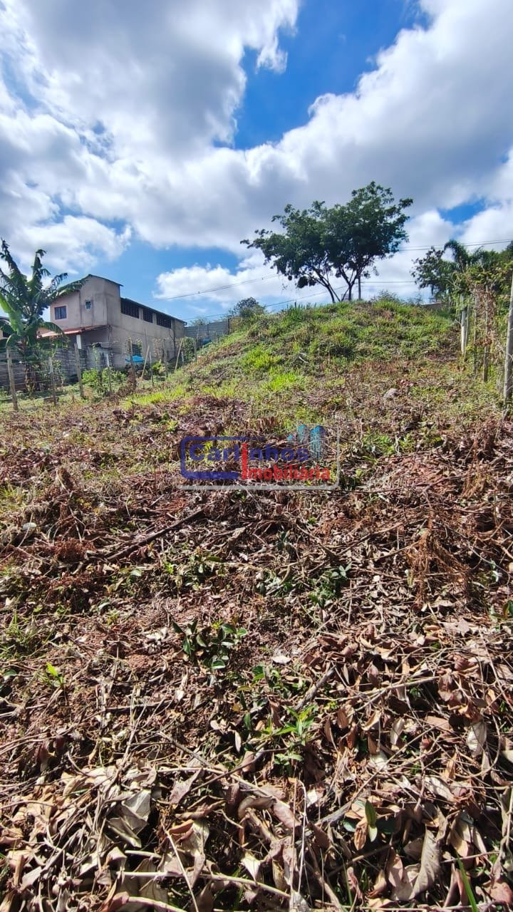 WhatsApp Image 2025-11-28 at 11.54