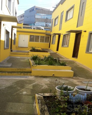 house em Rua Macajuba, Jardim Dracena - São Paulo - SP