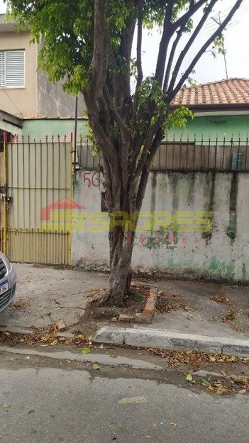 house em Rua Euchário Rebouças de Carvalho, Vila Guilherme - São Paulo - SP