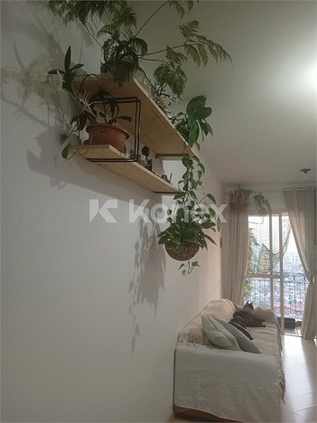 apartment em Avenida Zumkeller, Parque Mandaqui - São Paulo - SP