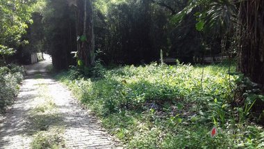 land_lot em Estrada Taquara, Independência - Petrópolis - RJ