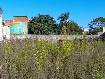 land_lot em Avenida Rio Grande do Sul, Laranjal - Pelotas - RS