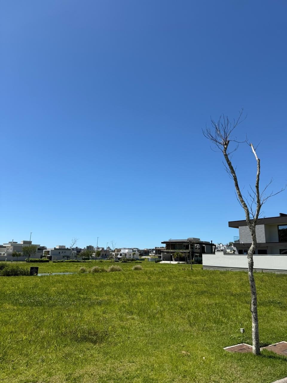 WhatsApp Image 2025-11-11 at 11.03