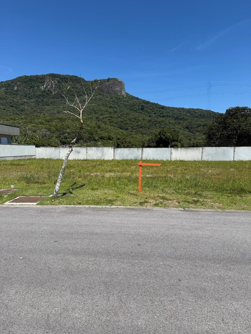 WhatsApp Image 2025-11-11 at 11.03