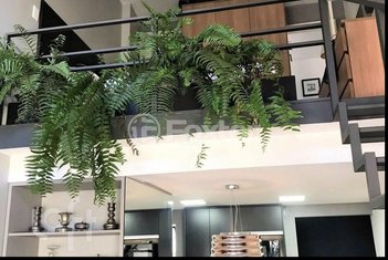apartment em Rua Pintassilgo, Vila Uberabinha - São Paulo - SP