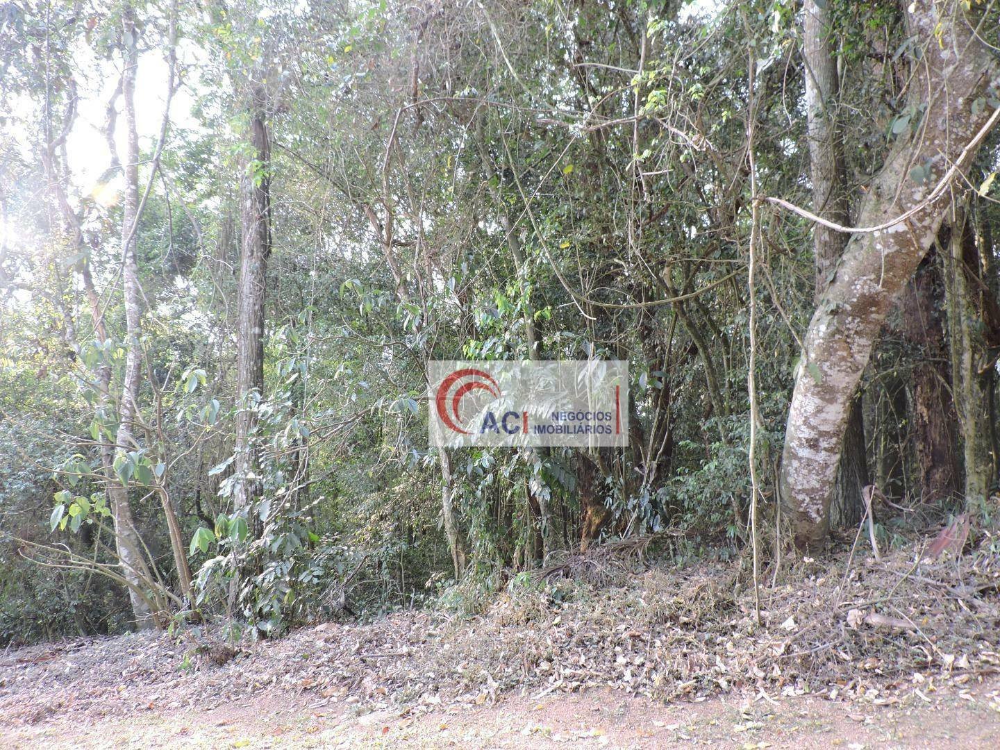 image-0