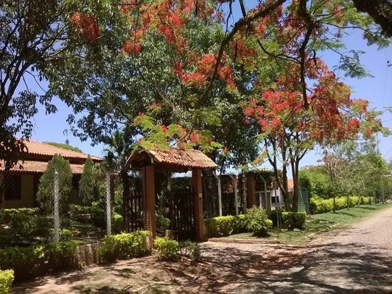 Foto 02