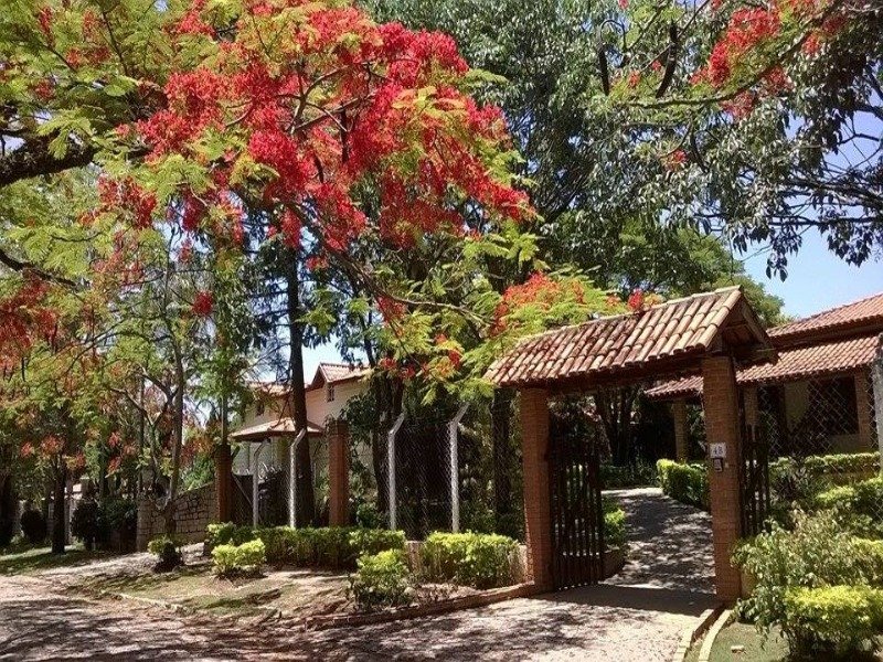Foto 03