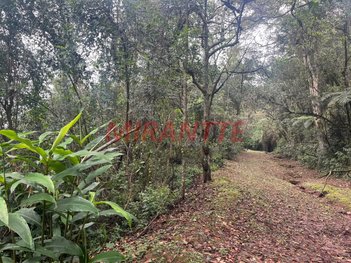 land_lot em Rua das Garças, Flor da Cantareira - São Paulo - SP