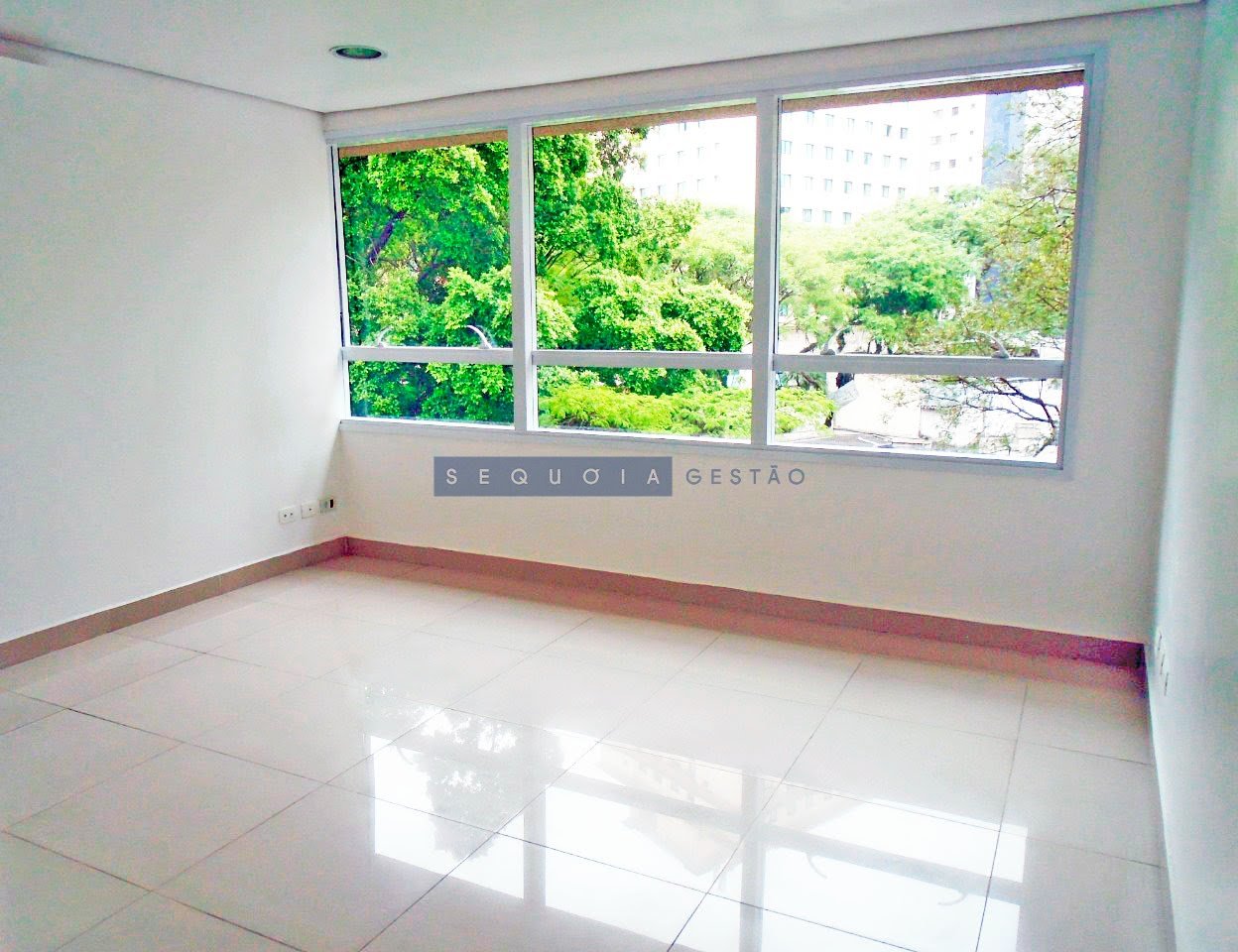 Conjunto comercial