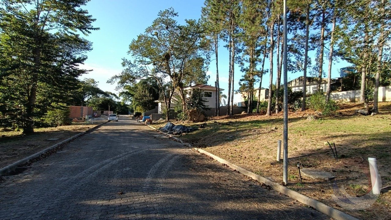 3-interna