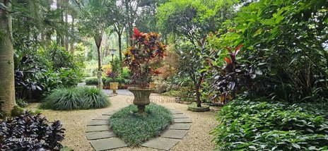 agricultural em Rua João José de Quadros, Guarda do Cubatão - Palhoça - SC