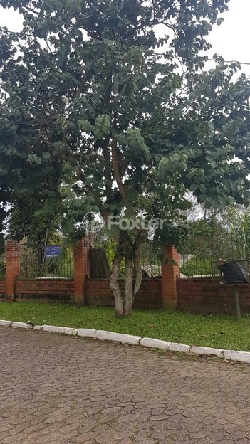 land_lot em Rodovia Tapir Rocha, São Lucas - Viamão - RS