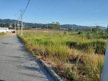 land_lot em BR-101, Areias de Cima - Governador Celso Ramos - SC