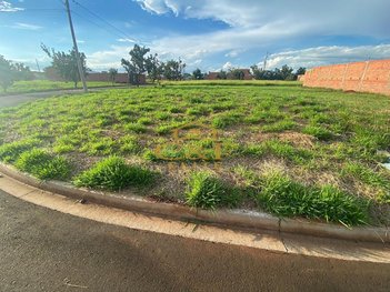 land_lot em Avenida Antônio Elias, Santa Rita - Piracicaba - SP