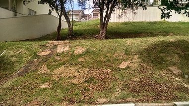 land_lot em Rua Luís Carlos Gentile de Laet, Horto Florestal - São Paulo - SP