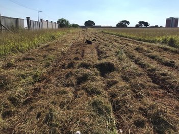 land_lot em Rua Antônio Benavides Dias, Jardim Wanderley - Tatuí - SP