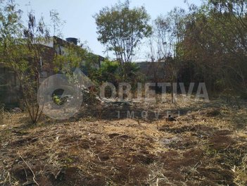 land_lot em Rua Divinópolis, Osvaldo Rezende - Uberlândia - MG