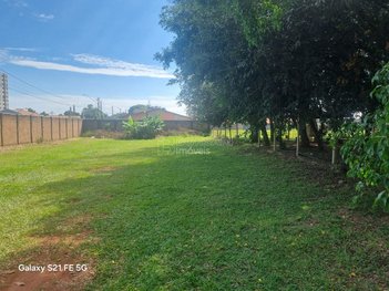 land_lot em Avenida Francescopaolo Celenza, Jardim Athenas - Araraquara - SP