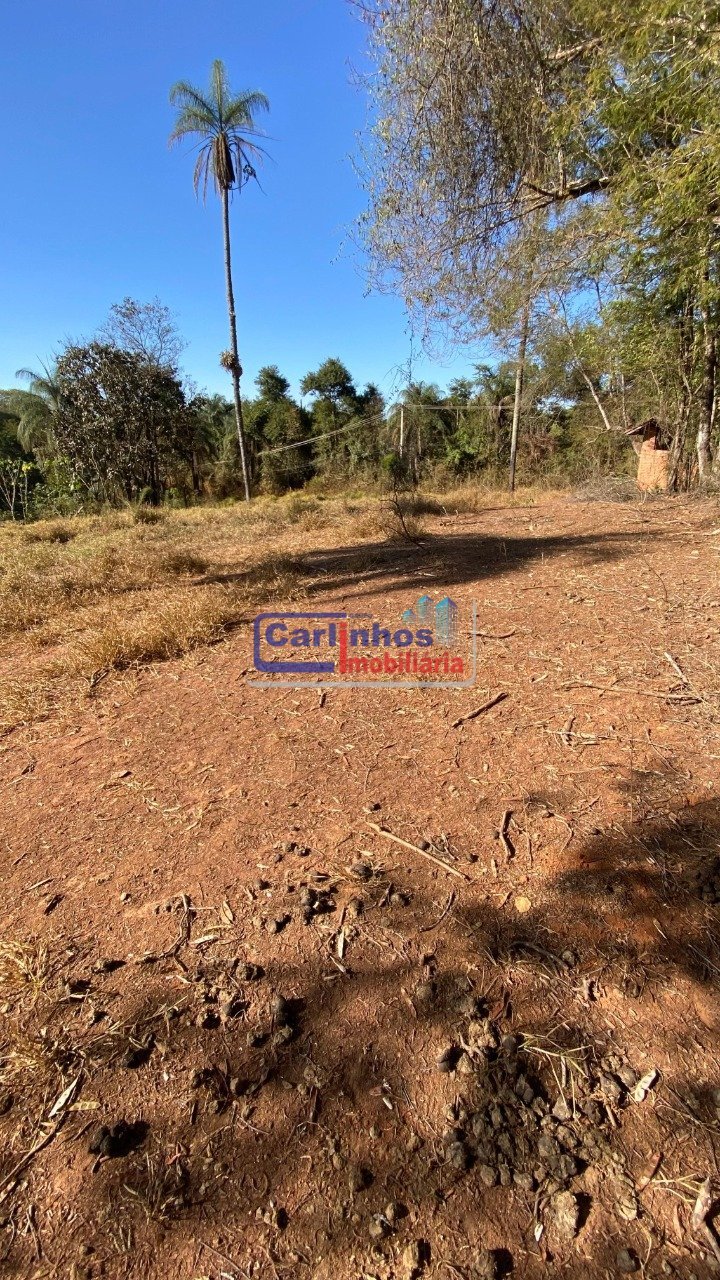 WhatsApp Image 2025-08-29 at 10.15