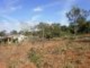 land_lot em Avenida A, Verde Vida - Juatuba - MG
