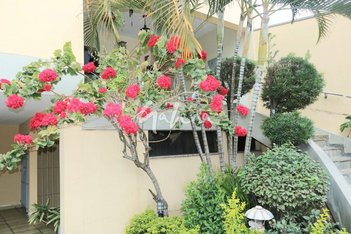 house em Rua Amazonas, Osvaldo Cruz - São Caetano do Sul - SP