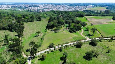 land_lot em Avenida Lindolfo Henrique Ferreira, Butiá - Campina Grande do Sul - PR
