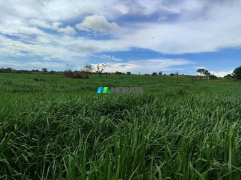 agricultural em Rodovia MG-164, Chácaras Mirante - Bom Despacho - MG