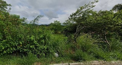 land_lot em do Lamim, Canasvieiras - Florianópolis - SC