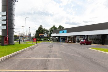 business em Brasil, Eucaliptos - Fazenda Rio Grande - PR