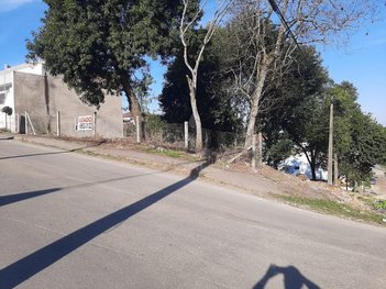 land_lot em Rua São Manoel, Santa Terezinha - Fazenda Rio Grande - PR