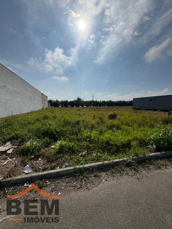 land_lot em Rodovia Jorge Lacerda, Centro - Ilhota - SC
