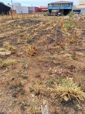 land_lot em Rua Agnelo Fagundes da Costa, Shopping Park - Uberlândia - MG