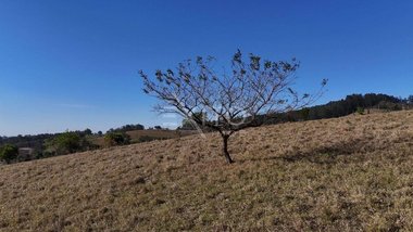 land_lot em Estrada Municipal Alcebíades Stefani, Bairro dos Pires - Itatiba - SP