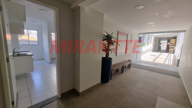 apartment em Rua Alfredo Pujol, Santana - São Paulo - SP