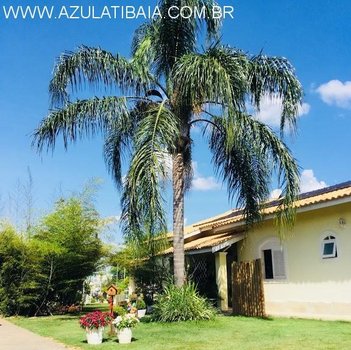 agricultural em Rua Alcides Cintra Bueno, Loteamento Jardim Morumbi - Atibaia - SP