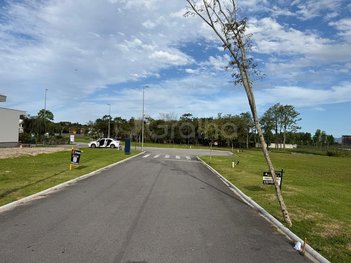 land_lot em Rua Lagoinha, Pedra Branca - Palhoça - SC