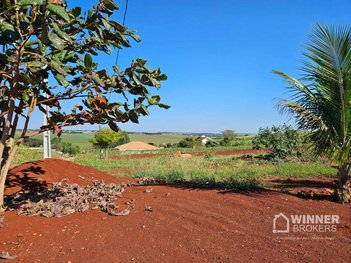 agricultural em Estrada São Domingos, Jardim São Domingos - Maringá - PR