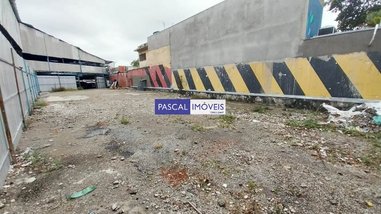 land_lot em Rua Zacarias de Gois, Parque Colonial - São Paulo - SP