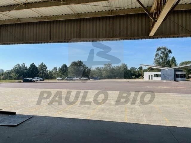 WhatsApp Image 2025-11-27 at 13.25