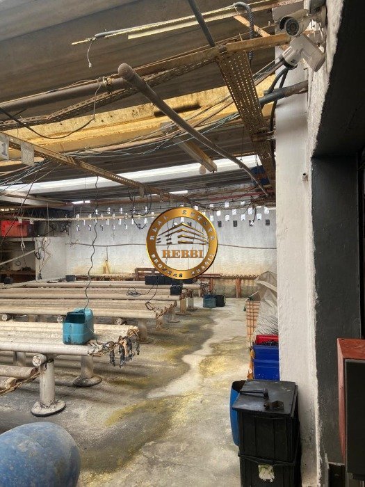 galpão_diadema_ref_3875 (4)