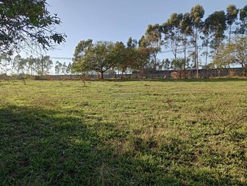 commercial_building em John Boyd Dunlop, Jardim Ipaussurama - Campinas - SP