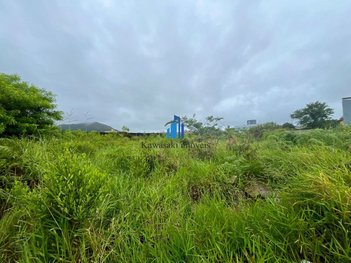 land_lot em Laura Duarte Prazeres, Campeche - Florianópolis - SC