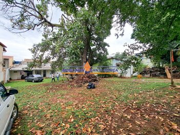 land_lot em Rua Josino de Brito, Santa Amélia - Belo Horizonte - MG