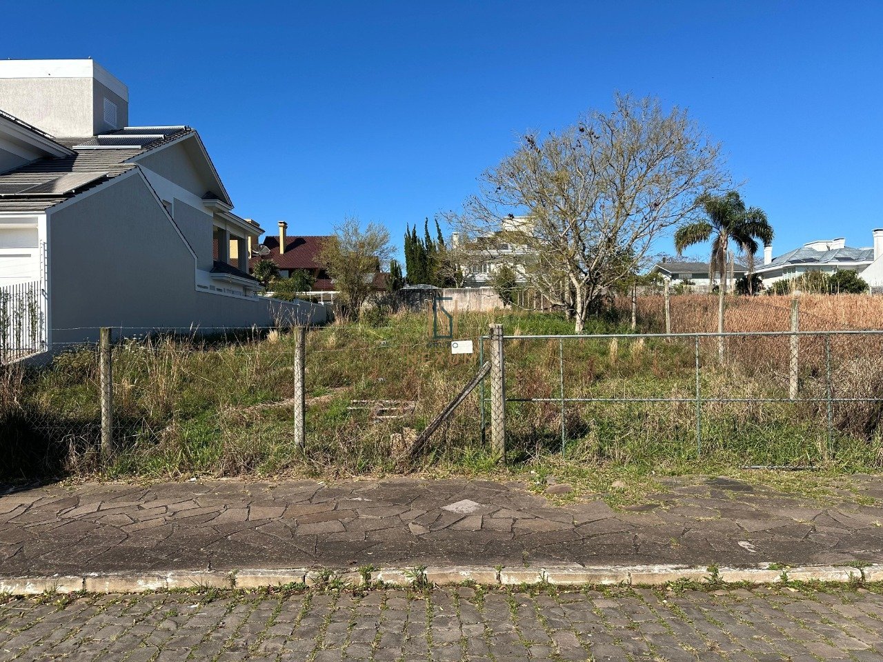 WhatsApp Image 2024-08-01 at 19.19