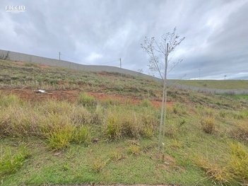 land_lot em Avenida Glaudiston Pereira de Oliveira, Putim - São José dos Campos - SP