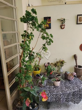 apartment em Rua Faustolo, Lapa - São Paulo - SP