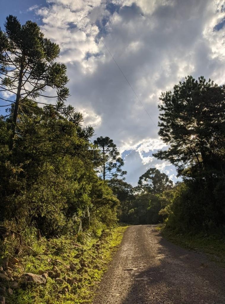 WhatsApp Image 2023-08-16 at 14.13