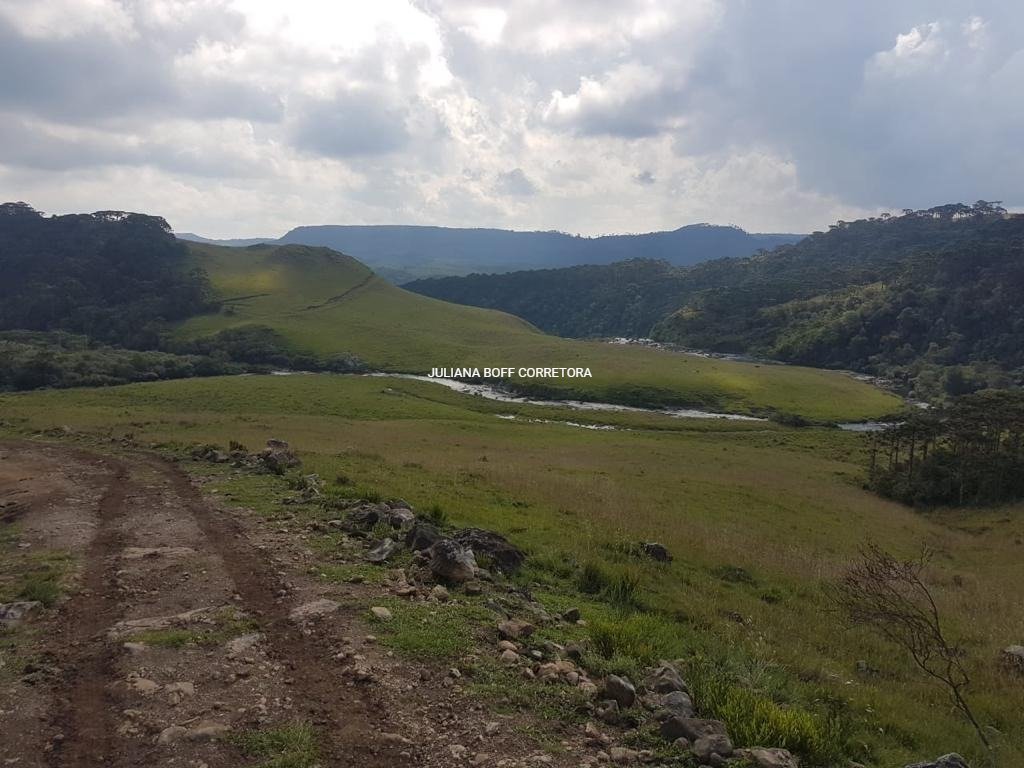 WhatsApp Image 2023-08-16 at 14.13