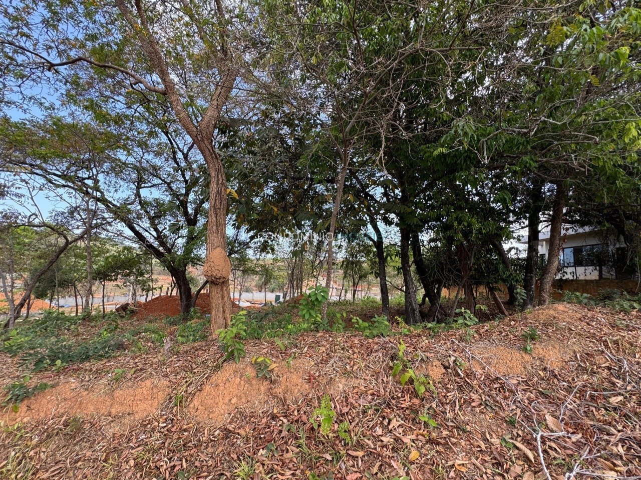 WhatsApp Image 2025-10-17 at 13.40